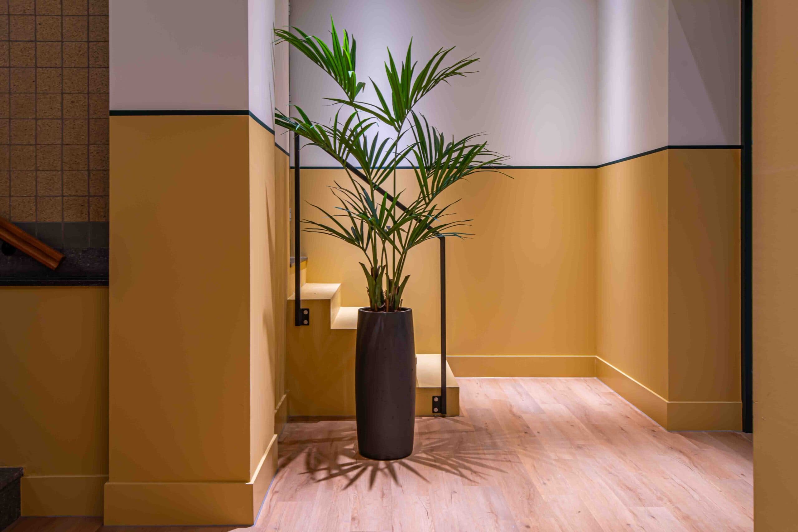 Het Belang van Professioneel Schilderwerk: Binnen en Buiten